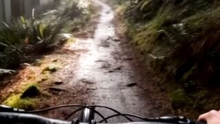 POV: Riding Through a Misty Forest Trail at Sunrise