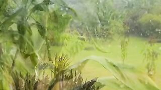 Vertical 4K Nature Film with Music parte 18 #cdrama #fyp #doblado