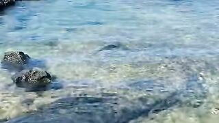 Vertical 4K Nature Film with Music parte 2 #cdrama #fyp #doblado
