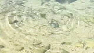 Vertical 4K Nature Film with Music parte 25 #cdrama #fyp #doblado