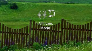 Surah Al Imran 4