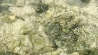 Vertical 4K Nature Film with Music parte 28 #cdrama #fyp #doblado