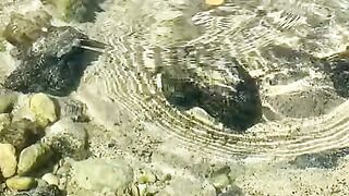 Vertical 4K Nature Film with Music parte 31 #cdrama #fyp #doblado