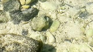 Vertical 4K Nature Film with Music parte 36 #cdrama #fyp #doblado