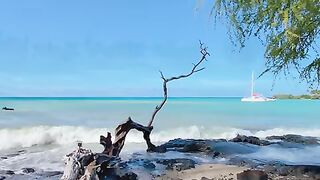 Vertical 4K Nature Film with Music parte 38 #cdrama #fyp #doblado