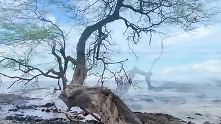 Vertical 4K Nature Film with Music parte 39 #cdrama #fyp #doblado