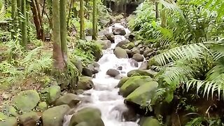 Vertical 4K Nature Film with Music parte 56 #cdrama #fyp #doblado