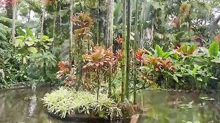 Vertical 4K Nature Film with Music parte 57 #cdrama #fyp #doblado