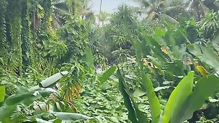 Vertical 4K Nature Film with Music parte 59 #cdrama #fyp #doblado