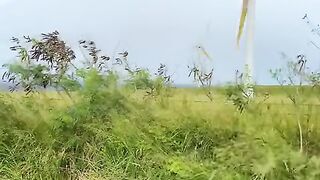 Vertical 4K Nature Film with Music parte 61 #cdrama #fyp #doblado