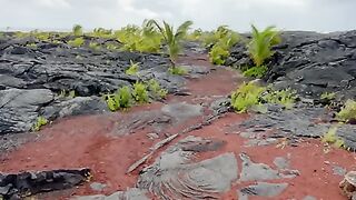 Vertical 4K Nature Film with Music parte 72 #cdrama #fyp #doblado
