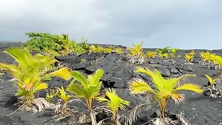 Vertical 4K Nature Film with Music parte 74 #cdrama #fyp #doblado