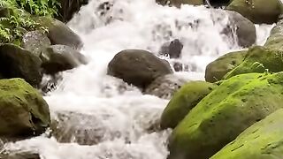 Vertical 4K Nature Film with Music parte 8 #cdrama #fyp #doblado