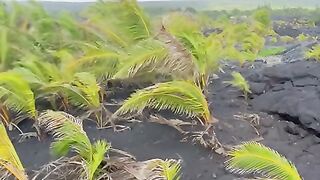 Vertical 4K Nature Film with Music parte 81 #cdrama #fyp #doblado