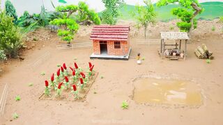 Building a Mini Pig Farm Above a Koi Pond part 4 #viral #fyp #DIY
