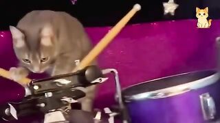 This Cat Has Given Up On Everything