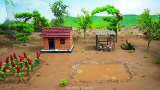 Building a Mini Pig Farm Above a Koi Pond part 5 #viral #fyp #DIY