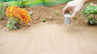 Building a Mini Pig Farm Above a Koi Pond part 52 #viral #fyp #DIY