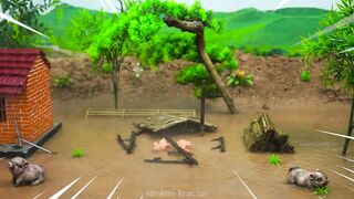 Building a Mini Pig Farm Above a Koi Pond part 6 #viral #fyp #DIY