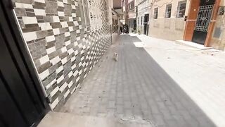 Two cute stray cats came to us asking for love and food.