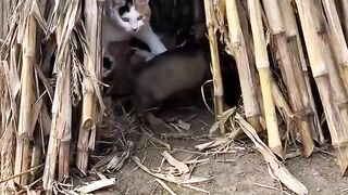 ​"When you lie on your resume but still get the job"