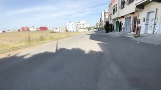 The two cats I didn't expect to see ran towards me.
