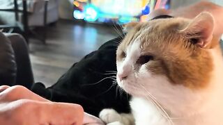 The cute hunter