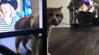 He awakens