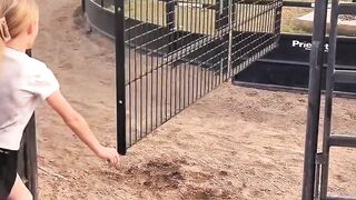 ???? Dad Challenged His Daughter… But the Dog Stole the Victory! ???????? #Shorts
