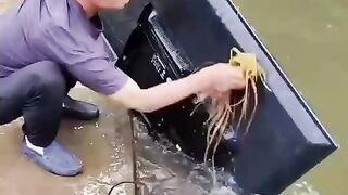 Dirty TV Washed in the River?