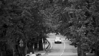 Carpet - monochrome city street with cars | Trending HD Video