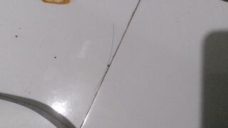 Layanan Pelanggan Agoda