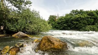 nature 46