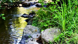 4K Computer Monitor - river water flowing | Trending HD Video