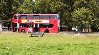 Travelpro - automobiles on the road | Trending HD Video