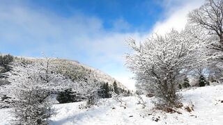 Winter Coat - a winter landscape under a blue sky | Trending HD Video