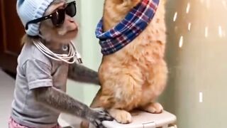 si oyen kesetrum sampe hitam???? - Tigerasia88