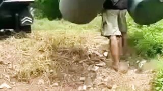 Penyebab penyusutan bobot ikan lele saat Delivery diperjalanan