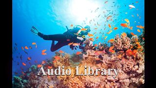 Dive In — Jay Someday - Free Background Music - Audio Library