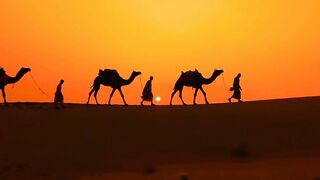 Desert beat|camel riding|sunset view|watch