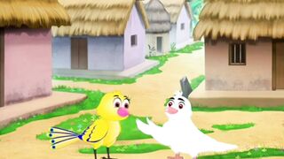 Beautiful birds and talking