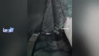 Хорошие приколы