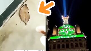 allahu akbar