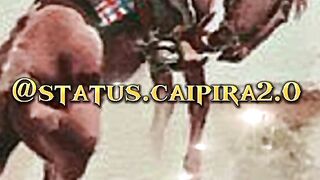 Motivaçaodiaria