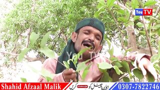 Chawani Athaani Laila Majno 2023 Funny Video