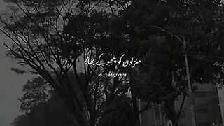 Mera koi nhi ha yaraa tera siwa✨