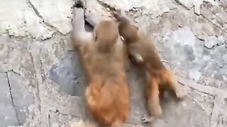 Money help each others