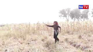 Funny Comedy Video