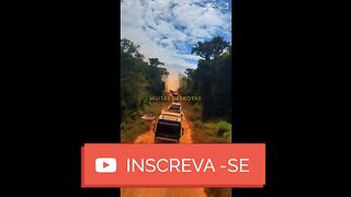 motivaçaodiaria