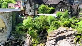 Beautiful nature video | Nature lover #fepspot